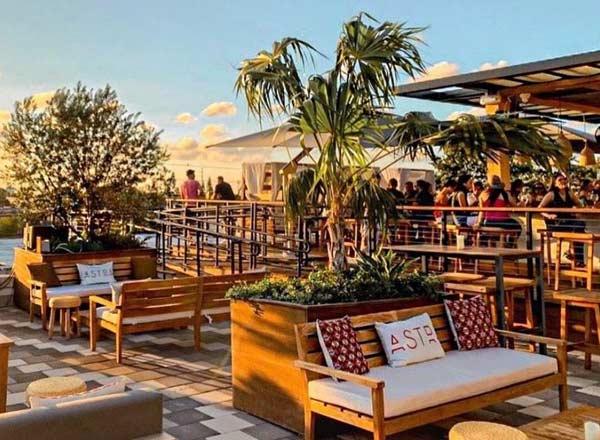 Astra Wynwood rooftop greenery