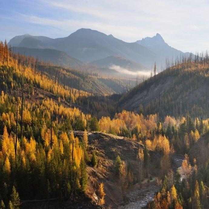 Autumn forest valley scenery near Glacier National Park