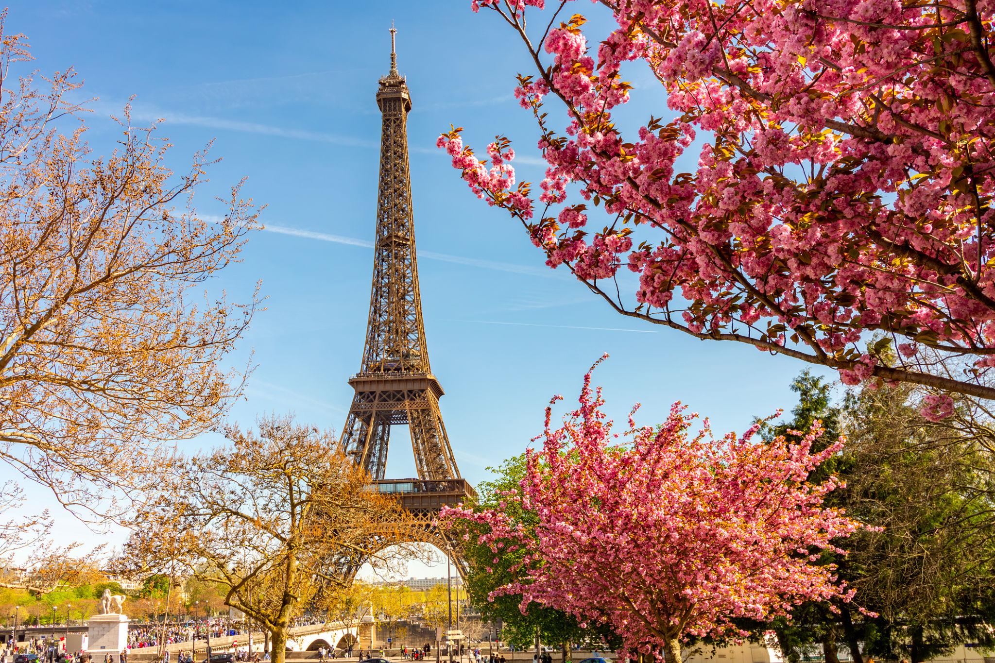 Paris streets in spring