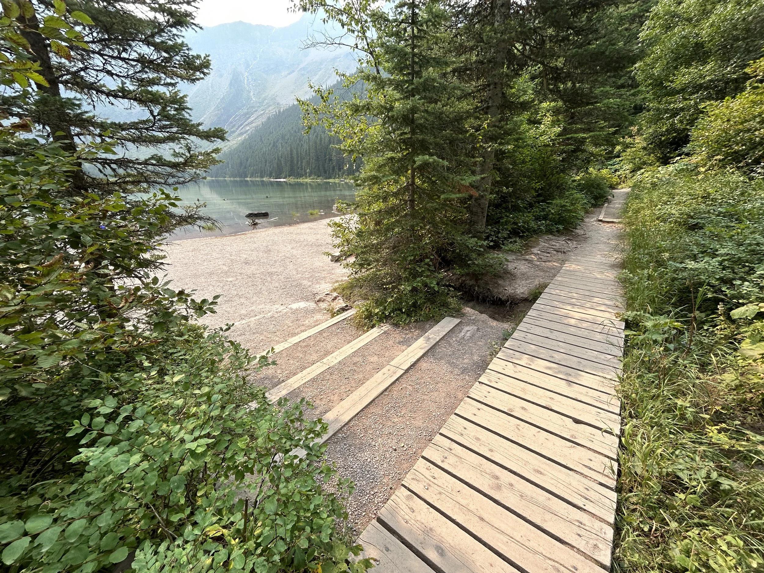 Avalanche Lake forest trail scenery
