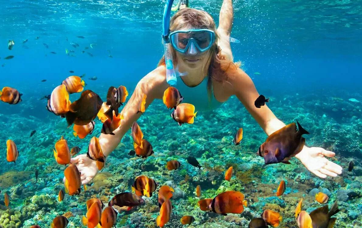 Bali snorkelling coral reef underwater scene