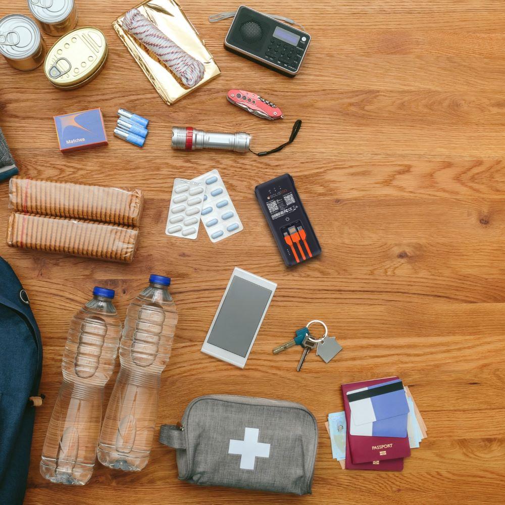 Emergency travel essentials kit