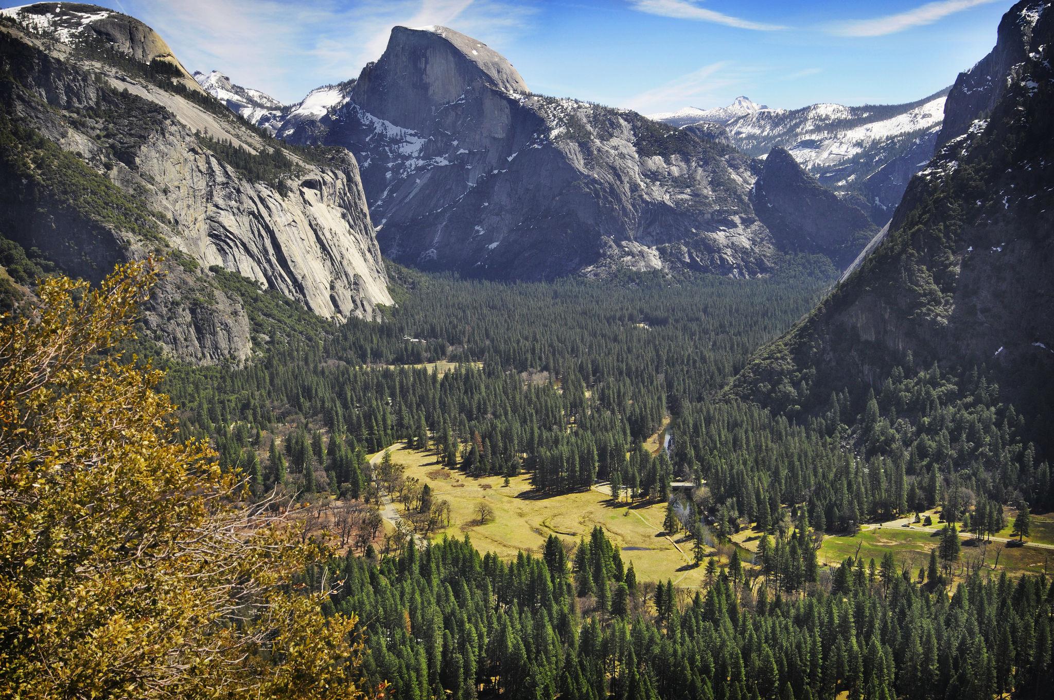 Yosemite valley mountains and forest landscape in California