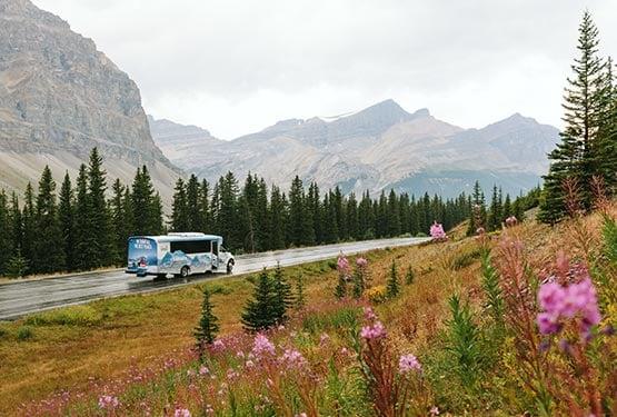 Bus in mountain national park
