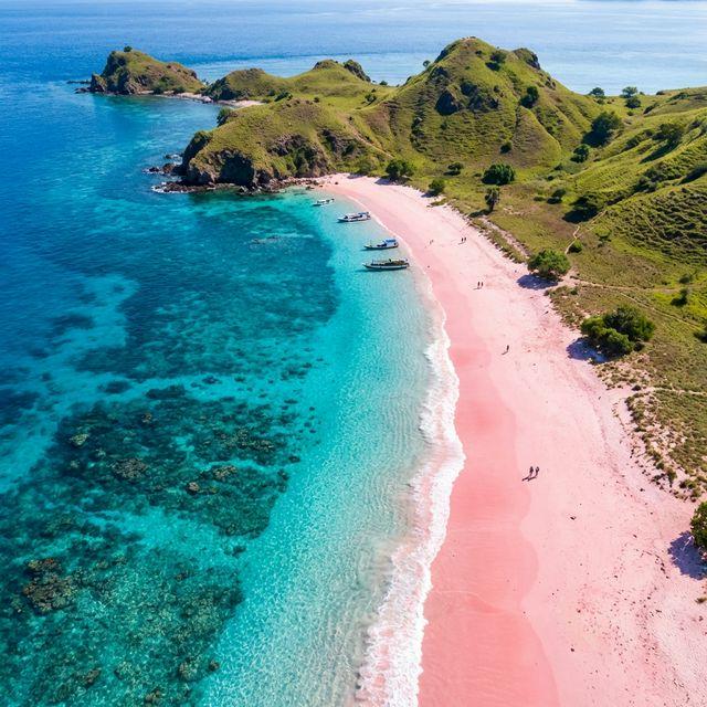 Pink sand beach with turquoise Indonesian waters