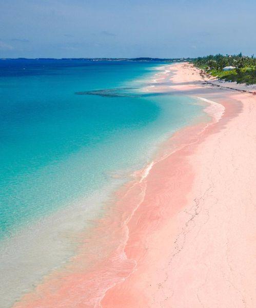 Pink Sands Beach Harbour Island Bahamas