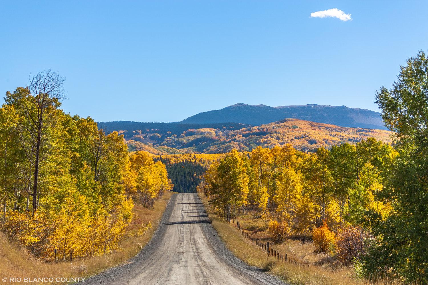 Rural Colorado scenic drive with fall trees and open countryside
