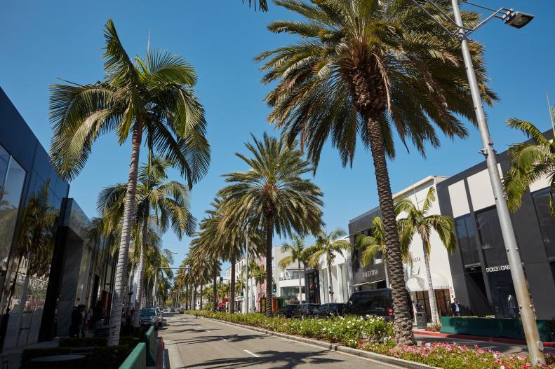 Rodeo Drive Beverly Hills palm-lined street
