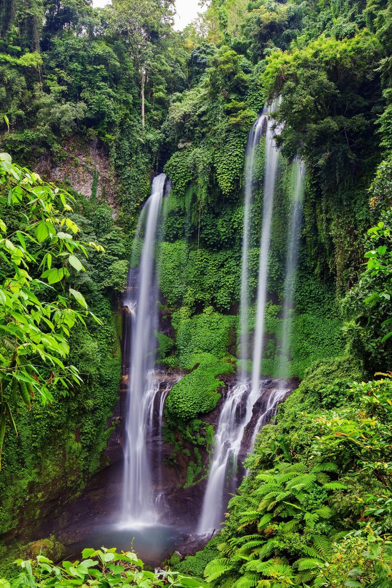Sekumpul waterfall surrounded by Bali jungle