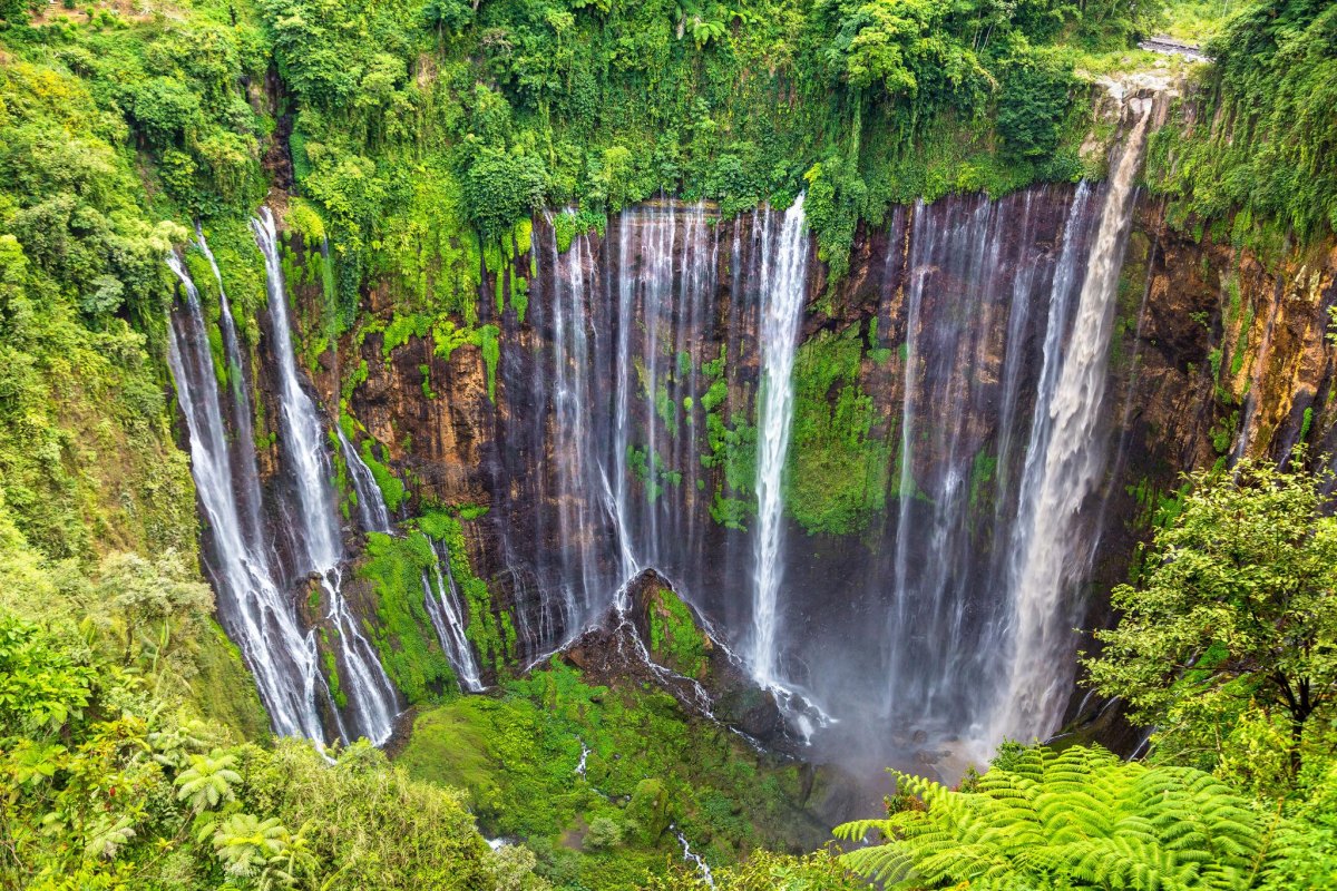 Indonesia waterfall in tropical forest