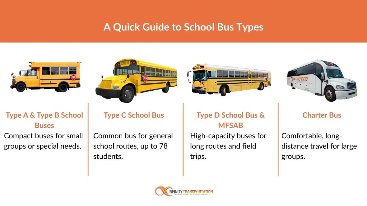 Different school bus types