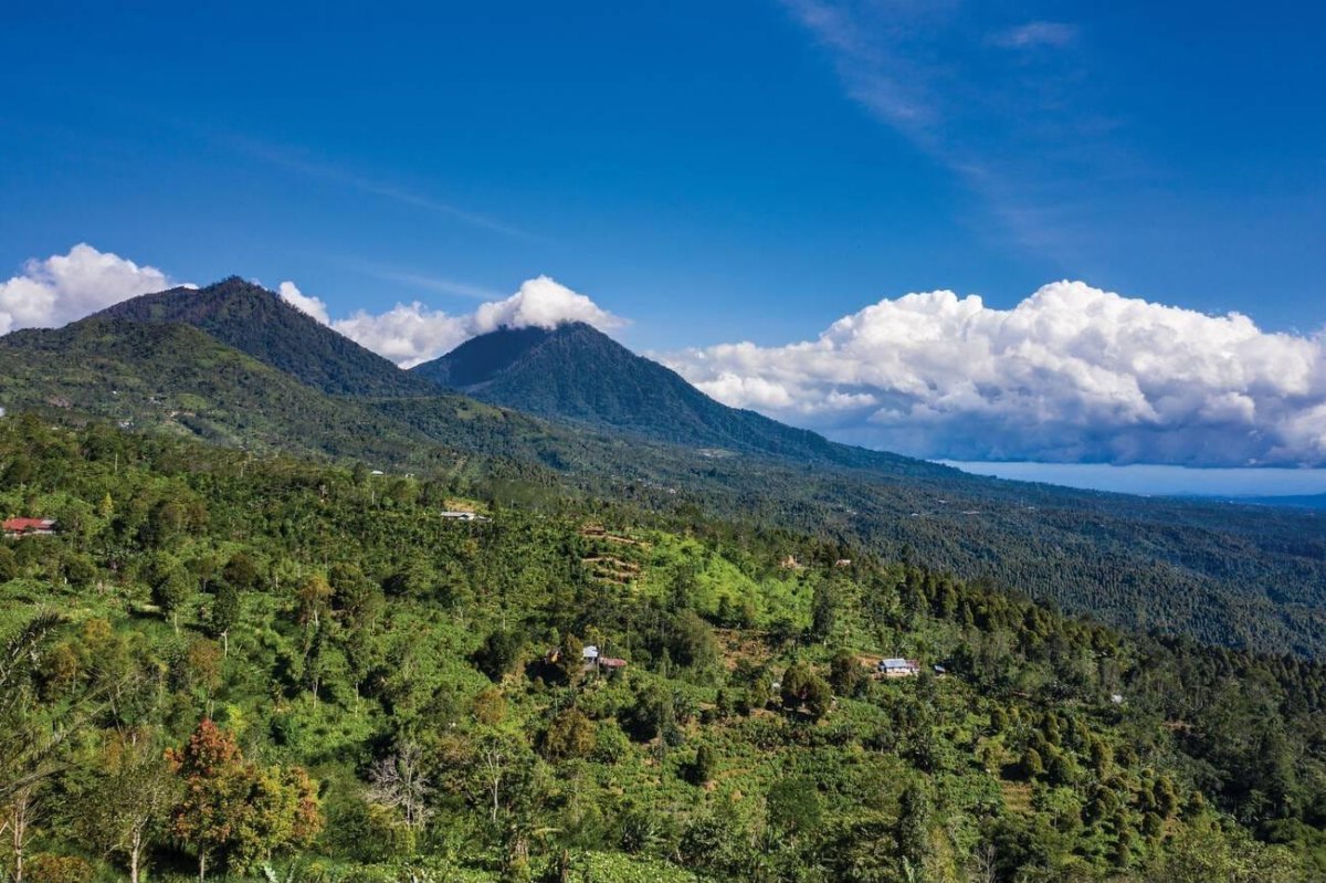 Munduk Bali jungle and mountain scenery