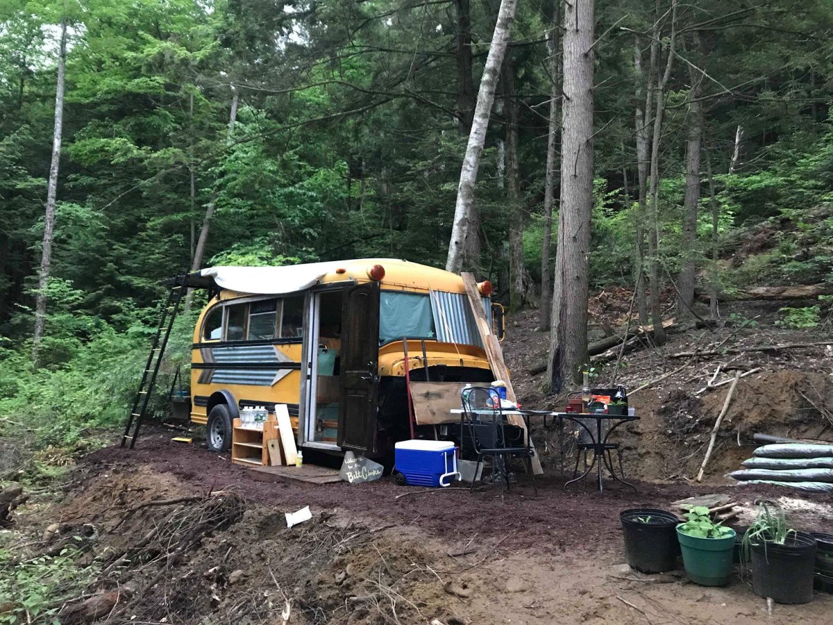 Camping bus surrounded by forest wilderness