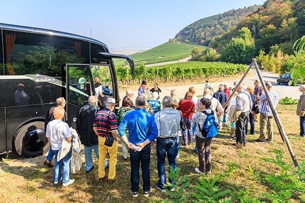Bus at vineyard countryside